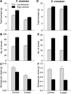 Roles of clonal parental effects in regulating interspecific competition between two floating plants